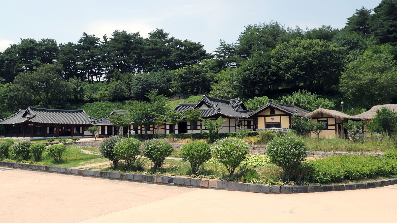 전통 전문 지압 관리