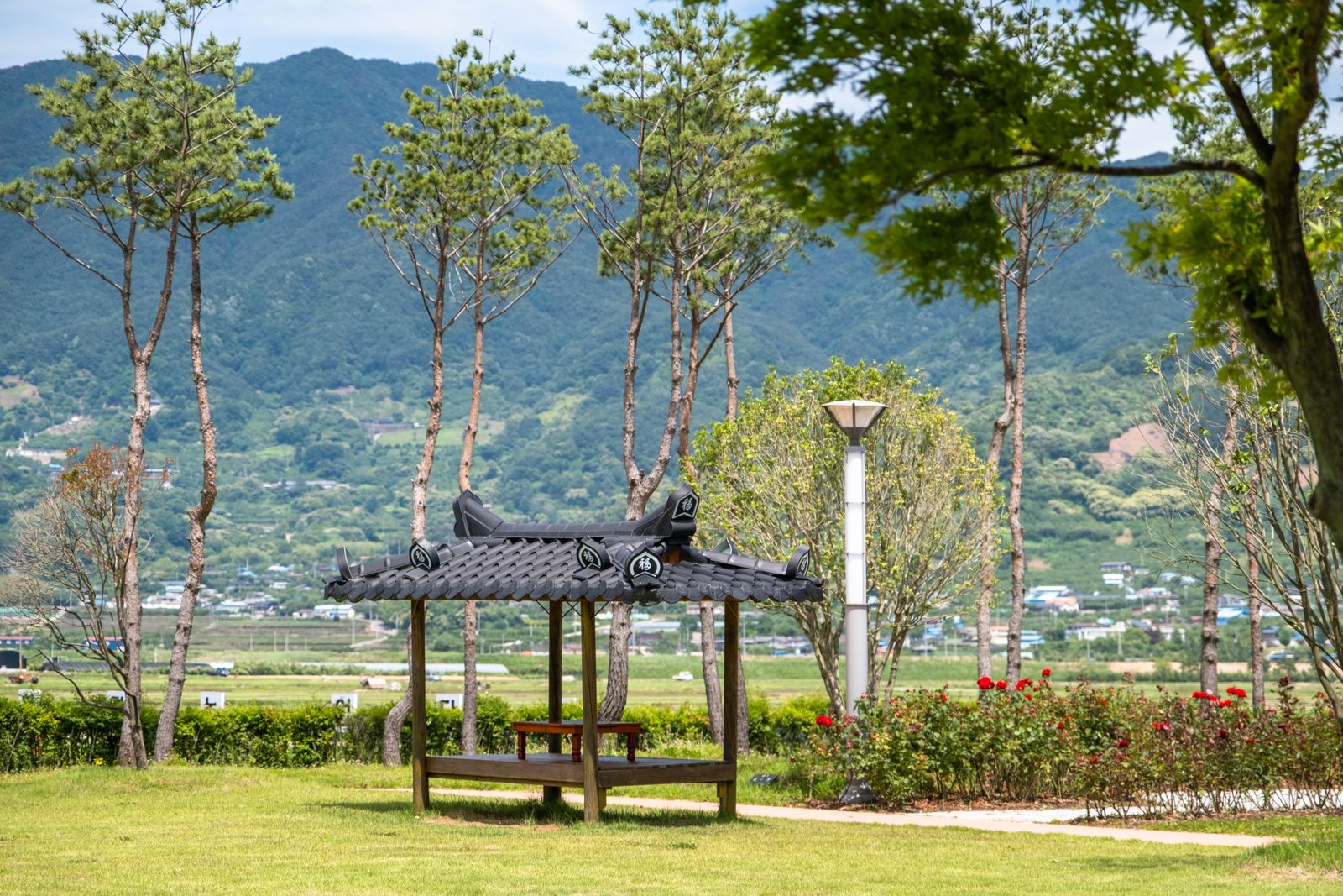 전문 테라피 치료 및 지압 수술 환경